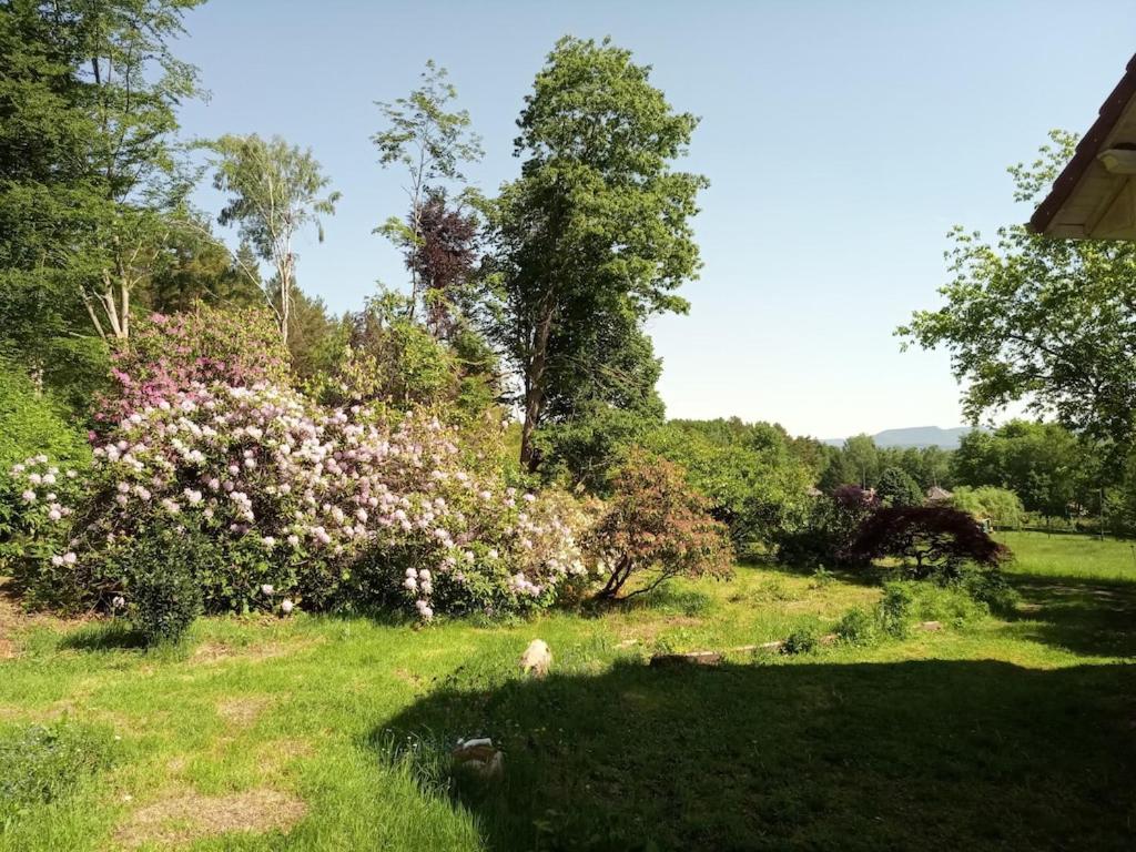 Vosges House 110 M2 In The Heart Of Nature L'Oree Du Bois Saint-Michel-sur-Meurthe Kültér fotó